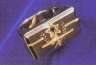 Sea Org ring